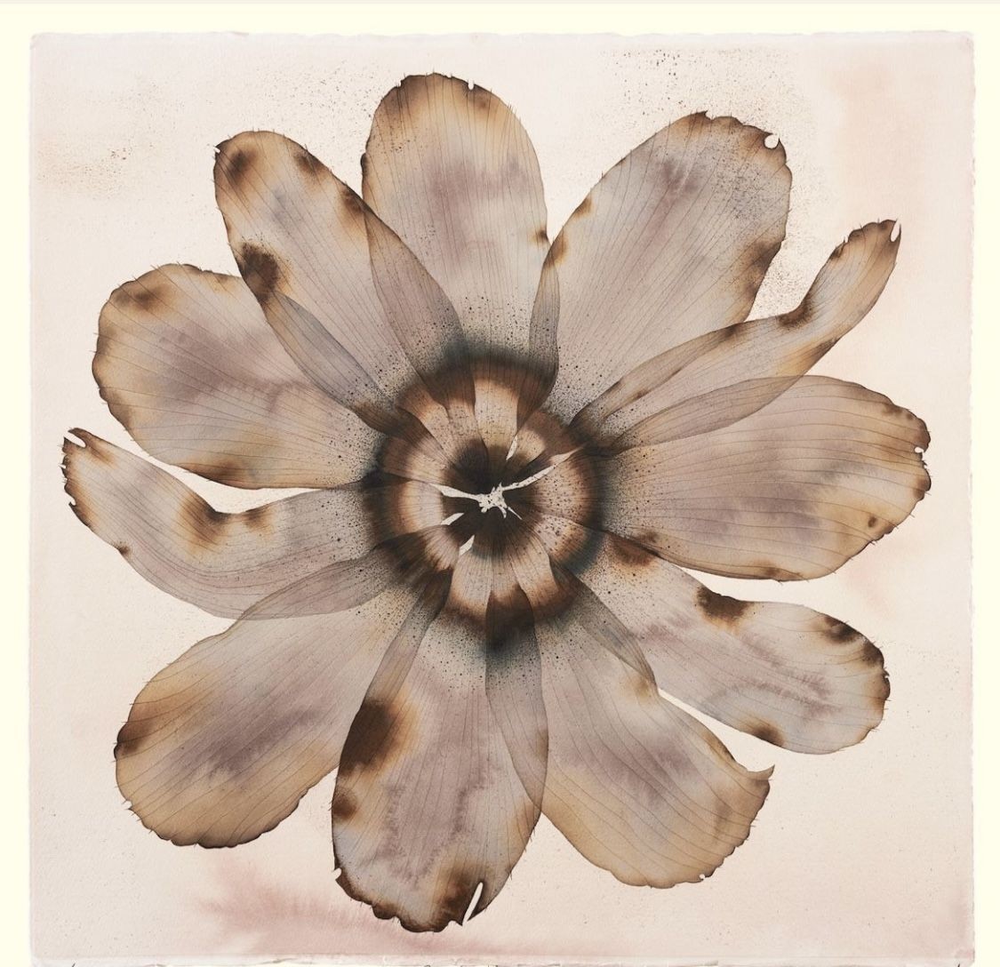 Flower art concept visual